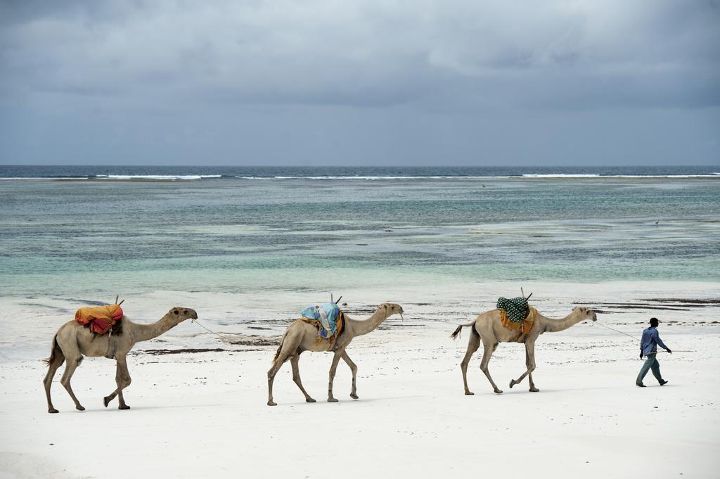 Diani House Otel Diani Beach Dış mekan fotoğraf