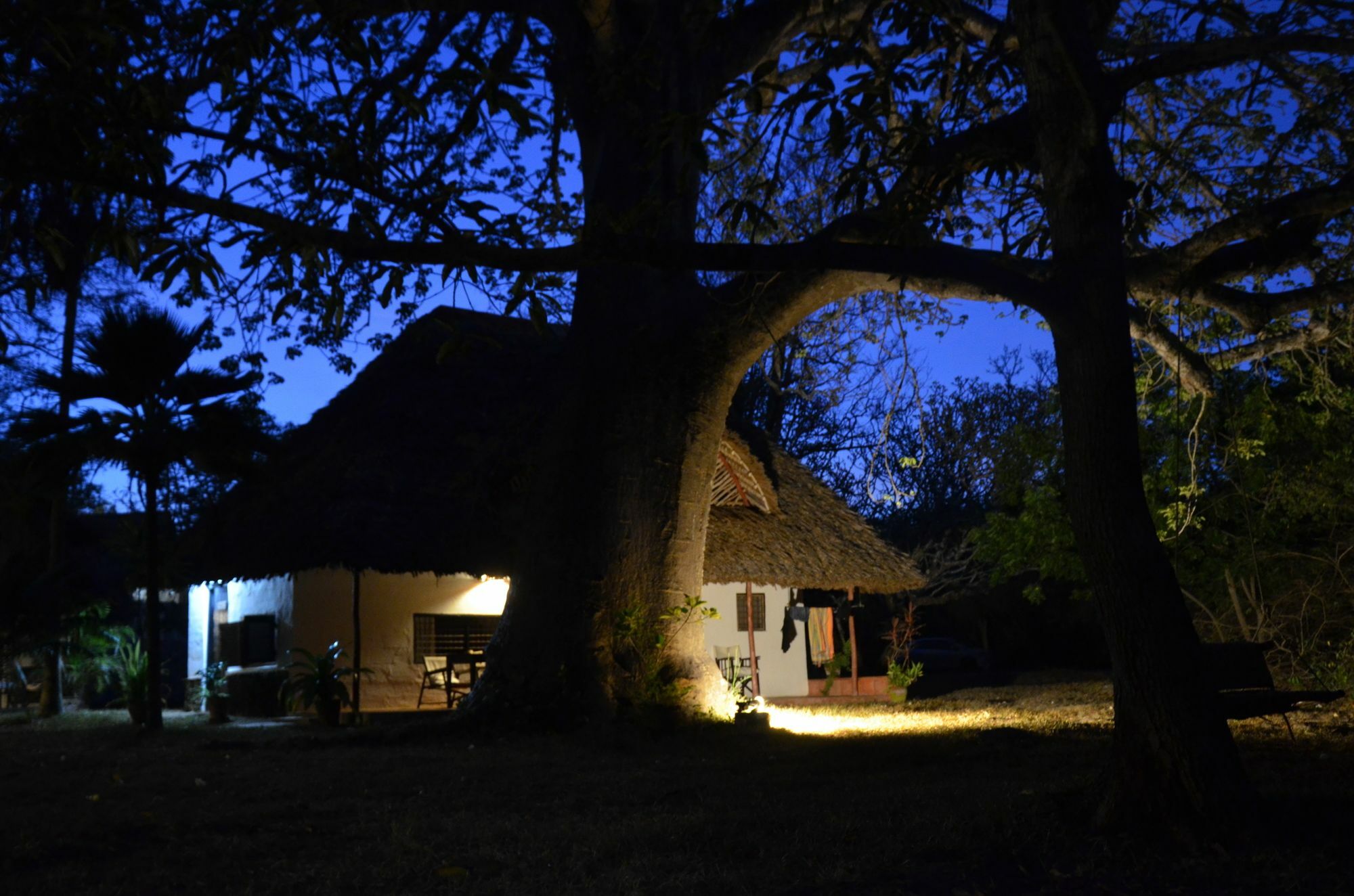 Diani House Otel Diani Beach Dış mekan fotoğraf